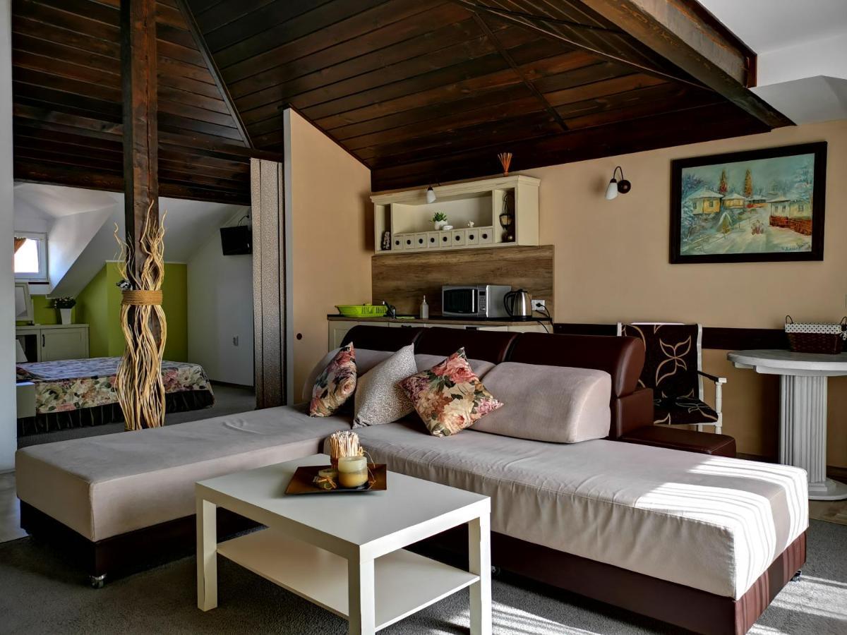 Hotel Zigen House Bansko Exteriér fotografie